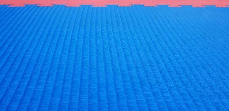 Interlocking Jigsaw Mats 2cm Blue / Red (Sale)