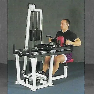 King Strength Linear Seated Row