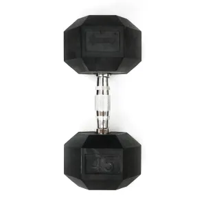 Rubber Hex Dumbbell - 45 lbs